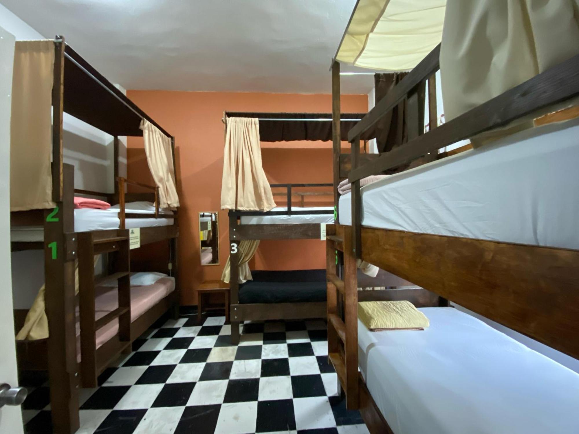 Bed in 6-Bed Dormitory Room